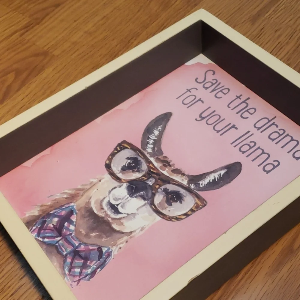 Primitives by Kathy Llama Drama shadow box print